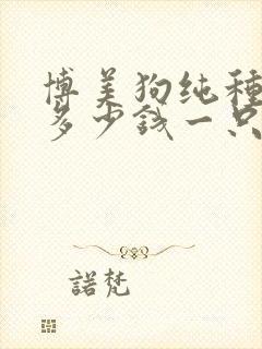 博美狗纯种价格多少钱一只