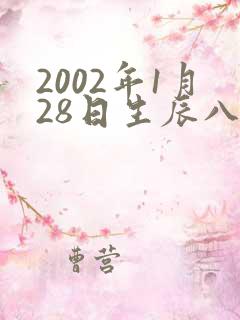 2002年1月28日生辰八字算命