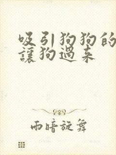 吸引狗狗的声音让狗过来
