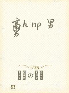 高h np 男男