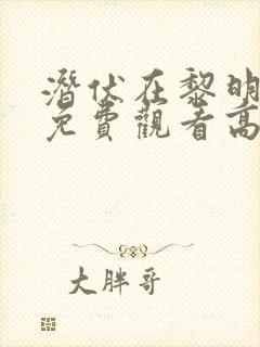 潜伏在黎明之前免费观看高清
