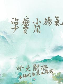 治疗小肠气要多少费用 治疗小肠气要多少费用