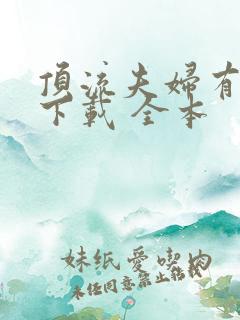 顶流夫妇有点甜下载 全本