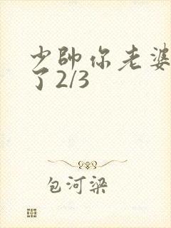 少帅你老婆又跑了2/3