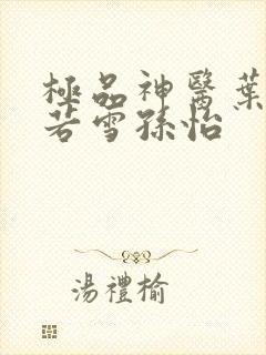 极品神医叶辰夏若雪孙怡