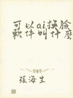 可以ai换脸的软件叫什么