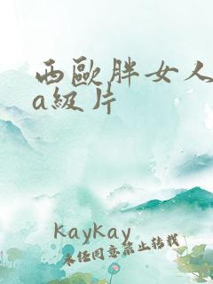 西欧胖女人拍的a级片