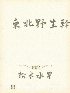 东北野生干蘑菇 东北野生干蘑菇