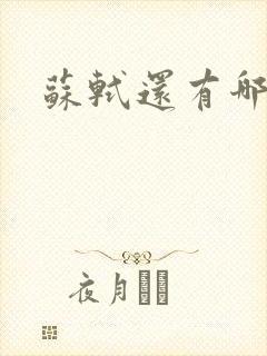 苏轼还有哪些诗