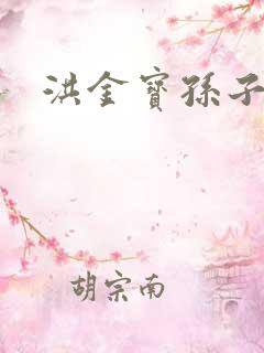 洪金宝孙子