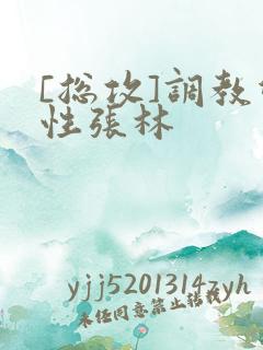 [总攻]调教双性张林