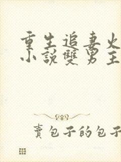 重生追妻火葬场小说双男主