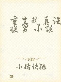 重生我真没想当暖男 小说 重生我真没想当暖男 小说