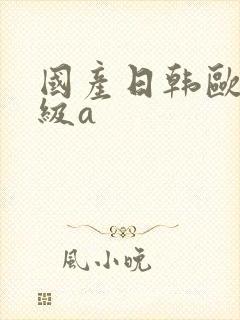 国产日韩欧美一级a