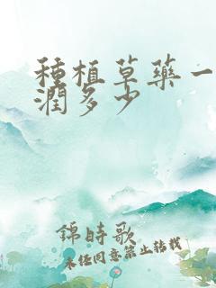 种植草药一亩利润多少