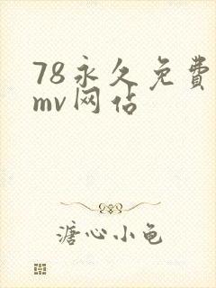 78永久免费看mv网站