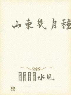 山东几月种玉米