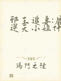 邪王追妻:废材逆天小姐什么时候开始写的