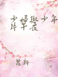 少妇与少年理论片午夜