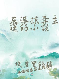 反派掠夺主角气运的小说