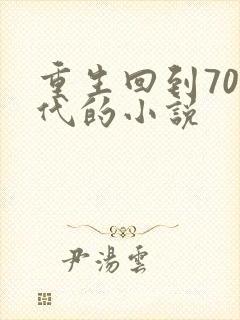 重生回到70年代的小说