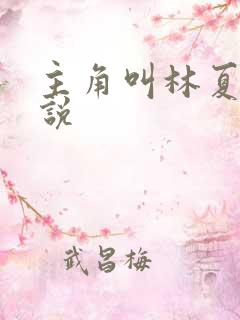 主角叫林夏的小说