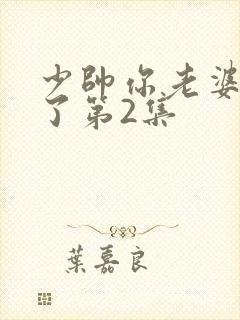 少帅你老婆又跑了第2集