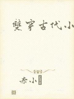 双穿古代小说