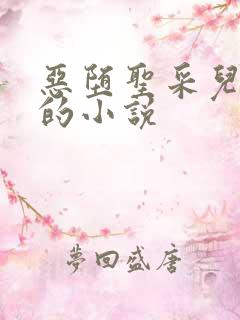 恶堕圣采儿鬼武的小说