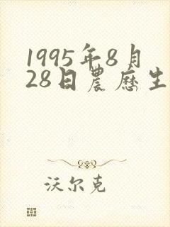 1995年8月28日农历生辰八字