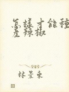 怎样才能种出高产辣椒