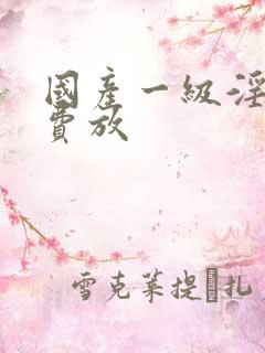 国产一级淫片免费放
