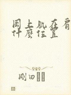 冈上肌在肩部的什么位置 冈上肌在肩部的什么位置