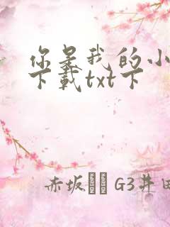 你是我的小确幸下载txt下
