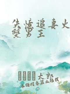 失忆追妻火葬场双男主