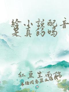 给小说配音赚钱是真的吗