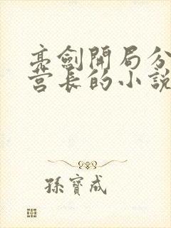 亮剑开局分派当营长的小说