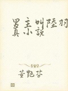 男主叫陆羽的修真小说