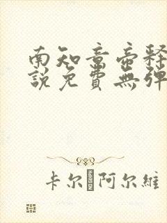 南知意帝释景小说免费无弹窗