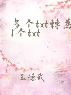 多个txt转为1个txt