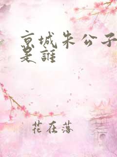 京城朱公子他爹是谁