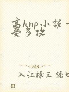 高hnp小说一受多攻