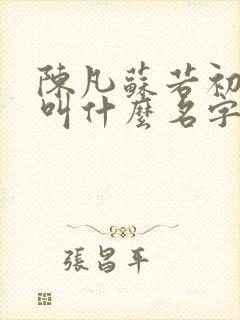 陈凡苏若初小说叫什么名字 陈凡苏若初小说叫什么名字