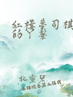 红楼梦司棋是谁的丫鬟