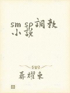 sm sp调教小说