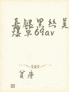 长腿黑丝美女被爆草69av