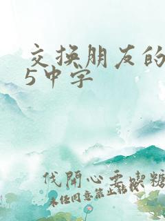 交换朋友的老婆5中字