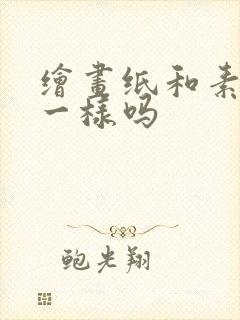 绘画纸和素描纸一样吗