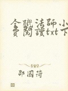 全职法师小说免费阅读txt下载