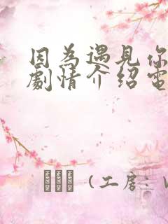 因为遇见你分集剧情介绍电视猫